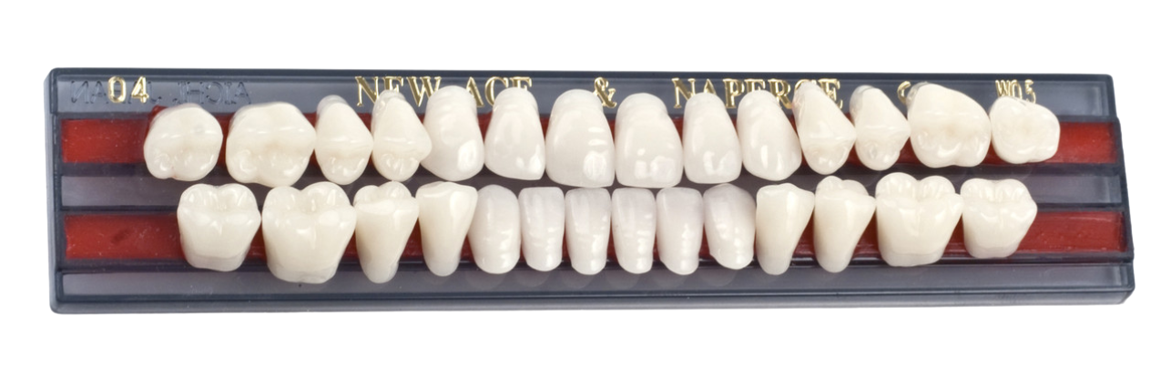 Зубы , 28 штук (Yamahachi)