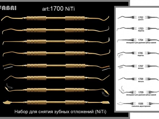 Набор инструментов для снятия зубных отложений NITI 1700 (8шт.)