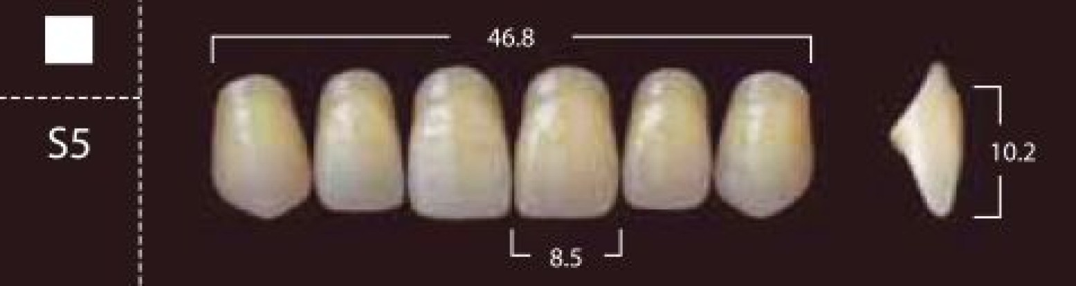 Фронтальные зубы (Yamahachi)